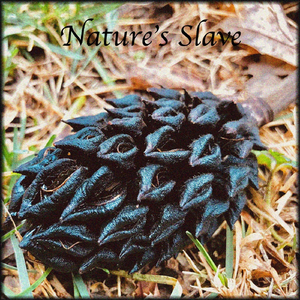 A Thought on Thought