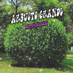 Arbustos Grandes