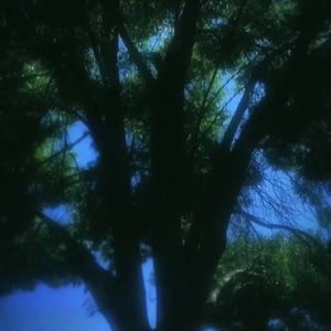 【FREE】Hyperpop(kidcupid)