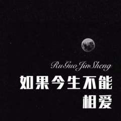 还不清的佳人债 (Remix)