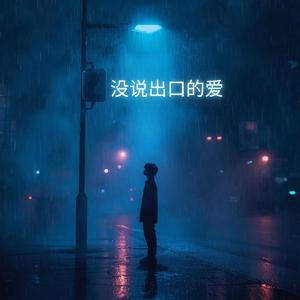没说出口的爱