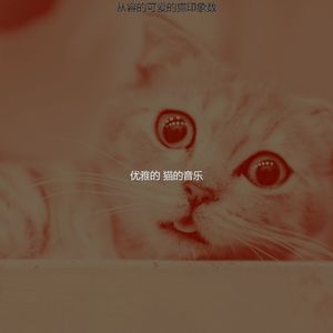 温和压力大的猫梦想