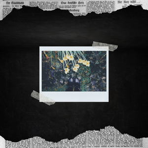 Tommyinnit Is A Flop