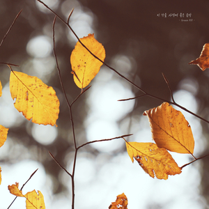 이 가을, 사색에 좋은 음악