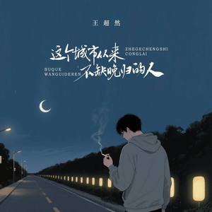 这个城市从来不缺晚归的人