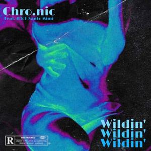 Wildin' (feat. fHk & Santo Mimi)