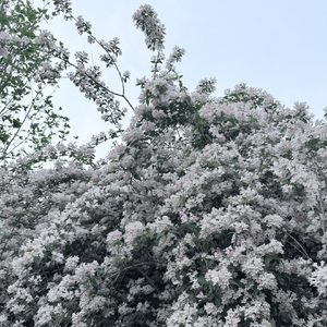陪我散散步