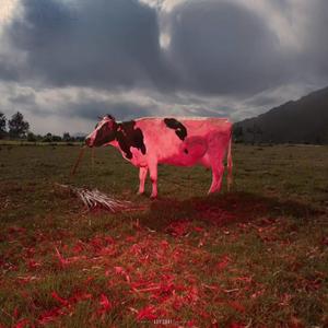 iiwii (feat. Jdeezy)