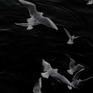 Intro-The XX - Intro (Dirrek Remix)（伊尔番 remix）