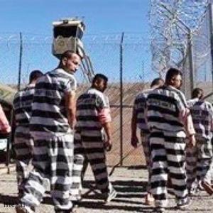 Illegal