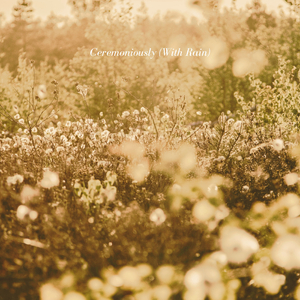 Ceremoniously (with Rain)