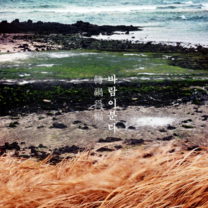 전화위복, 바람이분다