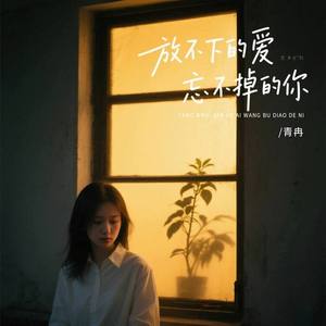 放不下的爱忘不掉的你 (伴奏)