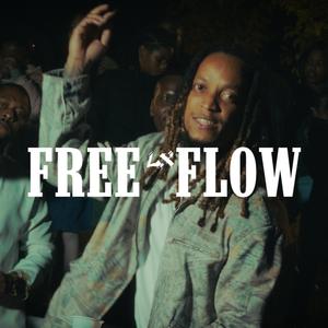 FreeFlow