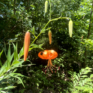 リアルとして認識できなくなった。