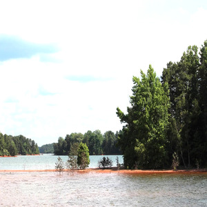 Canon in D (Out of Control)