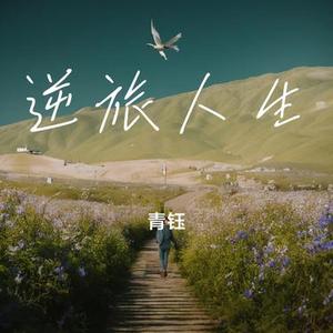 逆旅人生