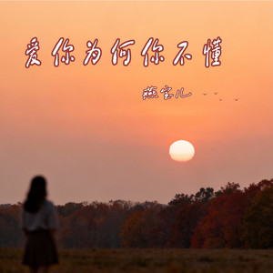 爱你为何你不懂（DJ彭锐版）