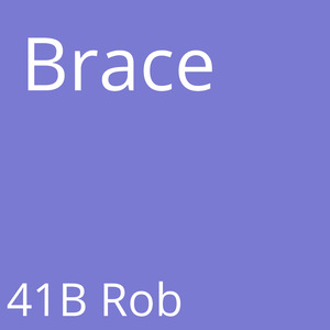Brace