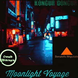Moonlight voyage