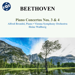 Piano Concerto No. 3 in C Minor, Op. 37:I. Allegro con brio