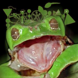 Kaloula Dangle (One Night In Bangladesh)