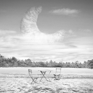 The Voices in My Head