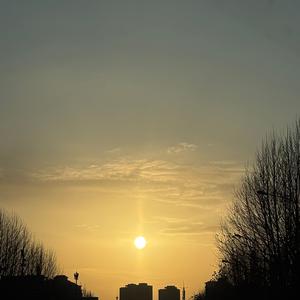 Winter's Gentle Glow