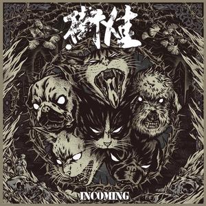 [Plastic Cat] 塑料猫