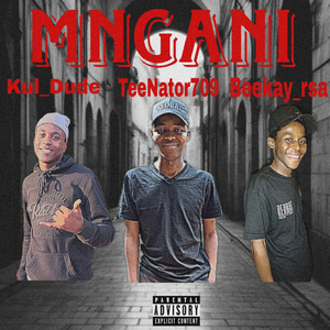 Mngani