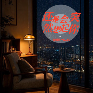 还是会突然想起你