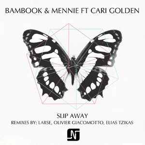 Slip Away (Larse Instrumental Mix)