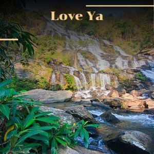 Come Back to me Darlin'