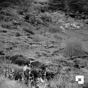 Inca Odata (Original Mix)