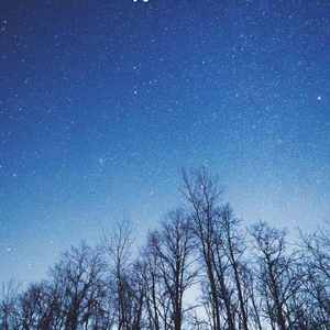 情歌（翻自 简弘亦）