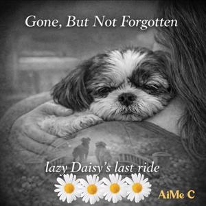 Gone, But Not Forgotten