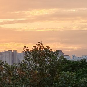 应衬离人泪