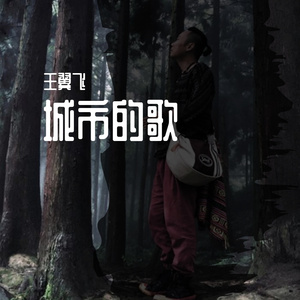 晚安天津 伴奏