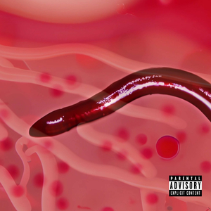 A Worm Got Into The Circulatory System
