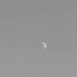 你是我唯一的过敏原