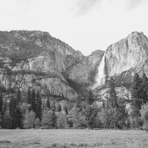 Terrific Moods for Mental Health