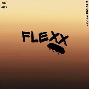 FLEXX (feat. Igor Sid)