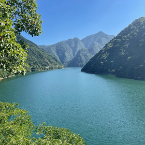 眼泪是逆向坠落 的彩虹