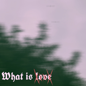what is xxxx