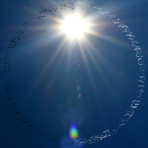 The Shadows of Who We Are