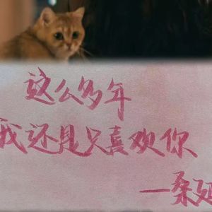 不经意间-整曲 伴奏