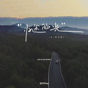 归途的光 (DJ版)