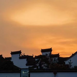 雨夜酒馆前的银蛇之舞