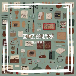 回忆的标本