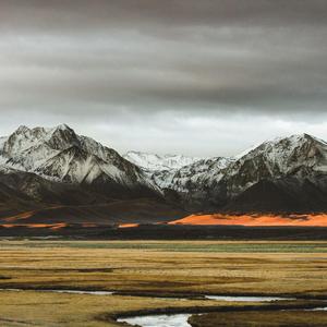 董小姐（cover）